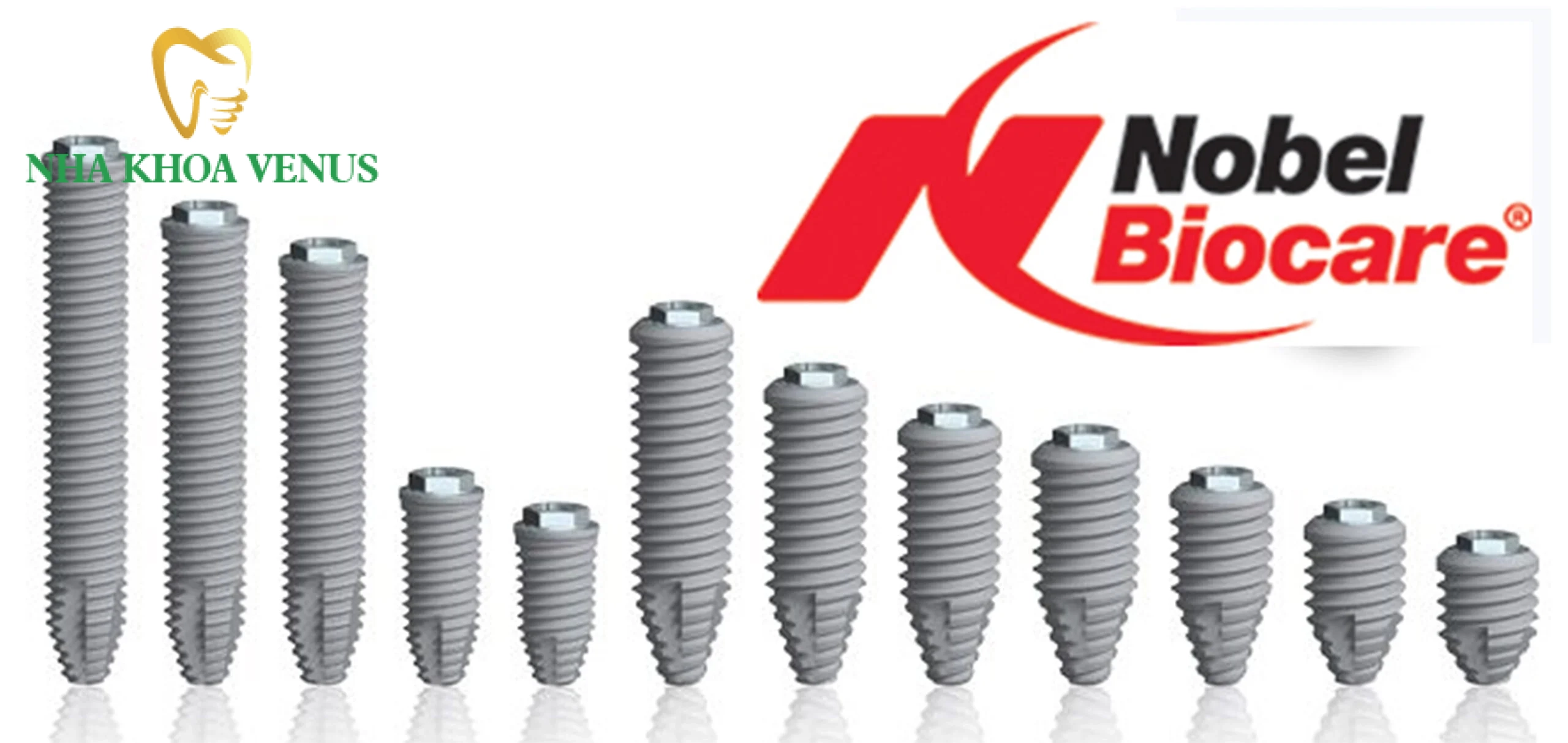 Cấy ghép mini implant giá bao nhiêu bảng giá chuẩn 2026 5 Các dòng trụ Implant chính hãng Thụy Sĩ Mỹ Hàn Quốc tại Nha Khoa Venus