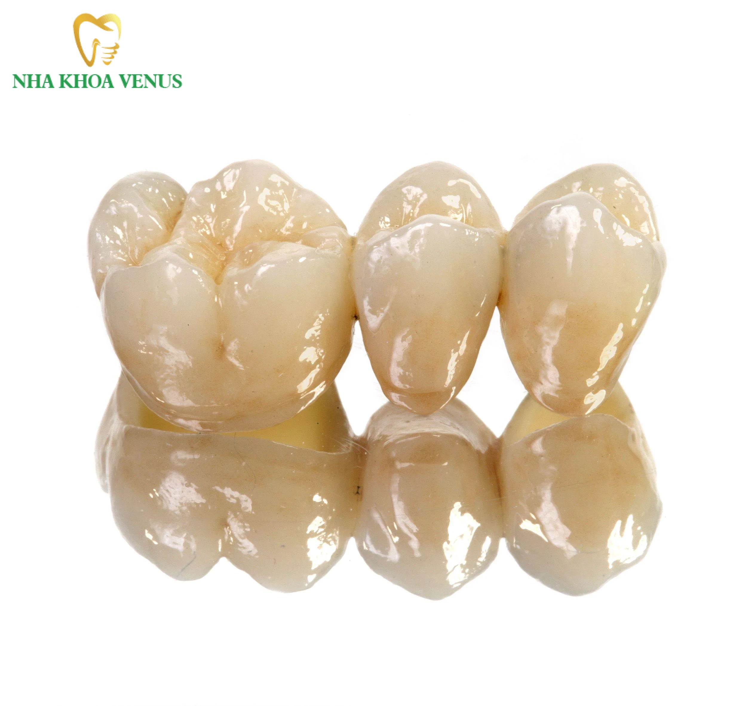 Răng sứ Lisi là gì? Ưu điểm độ bền và bảng giá trọn gói 6 Mão răng toàn sứ Lisi Press phục hình nguyên khối chịu lực nhai lớn không kim loại