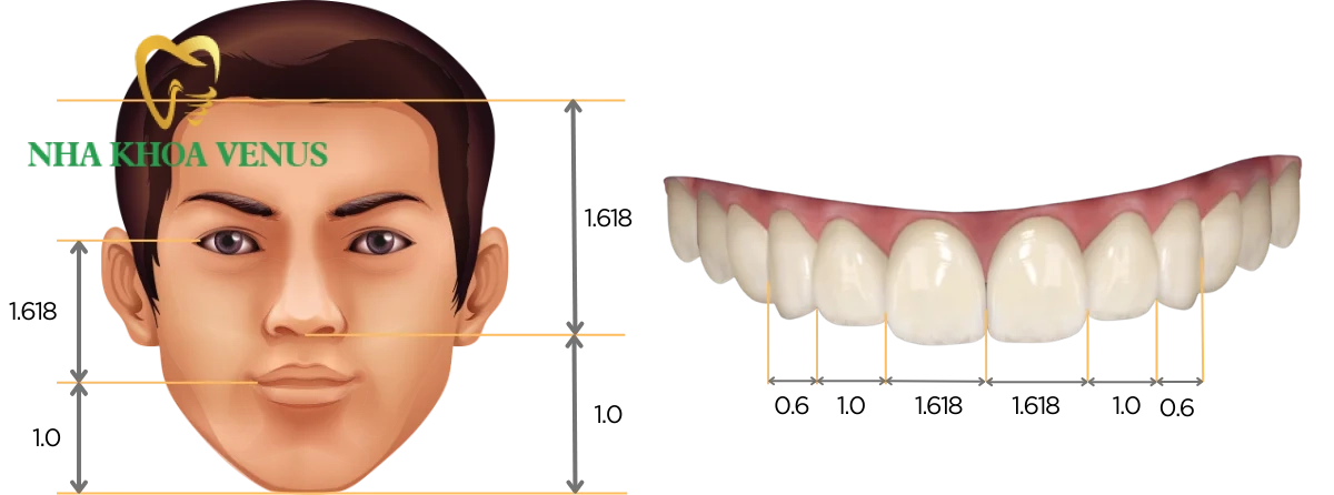 Nha khoa thẩm mỹ là gì? Các dịch vụ và bảng giá chi tiết 7 Tiêu chuẩn đánh giá nụ cười thẩm mỹ chuẩn tỷ lệ vàng